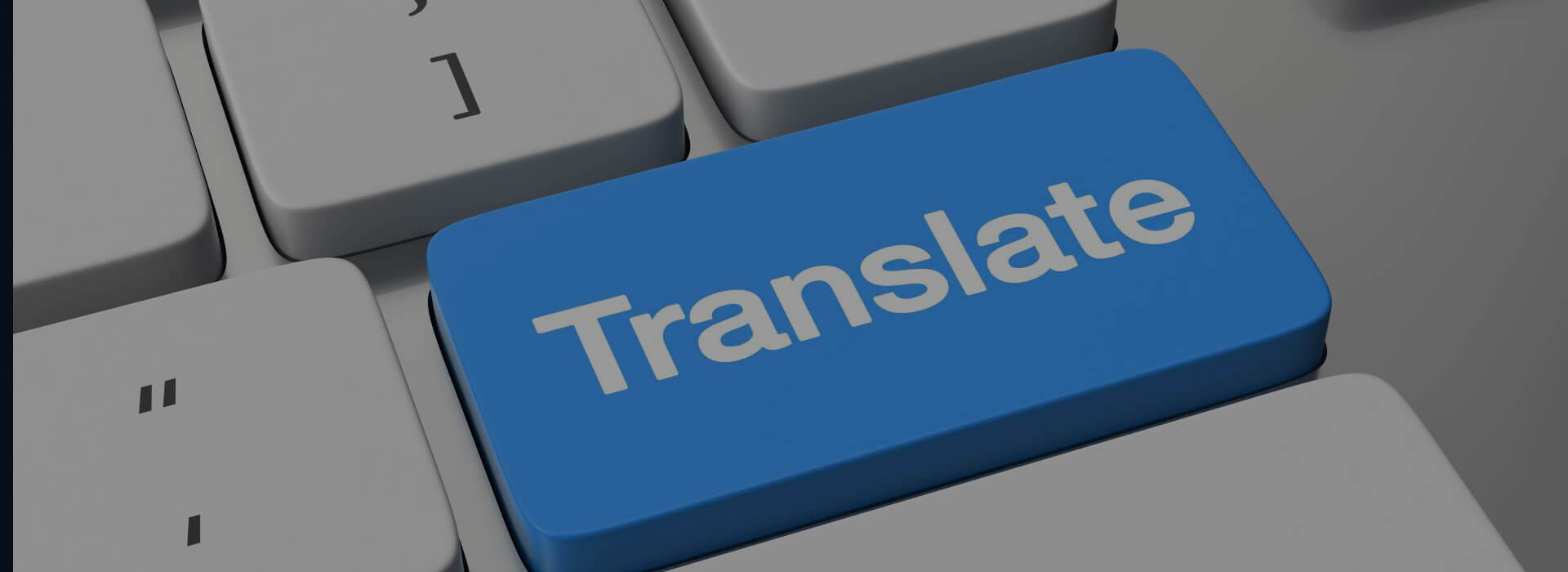 Professional language Translators 